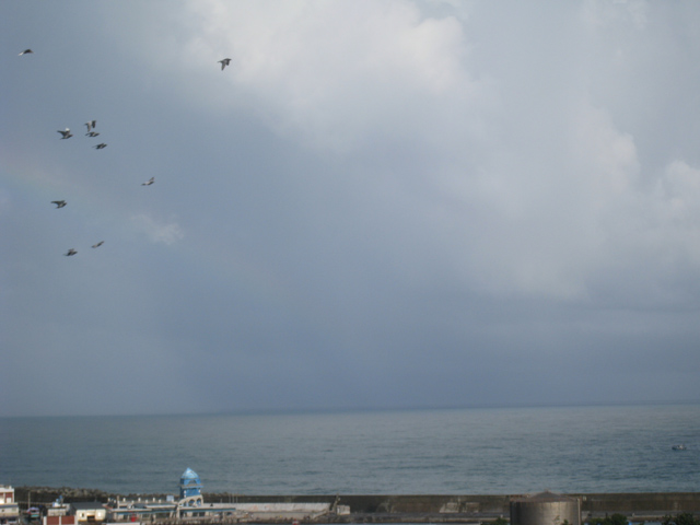 rainbow on the sea with birds